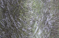 Peasenhall fibreglass roof work